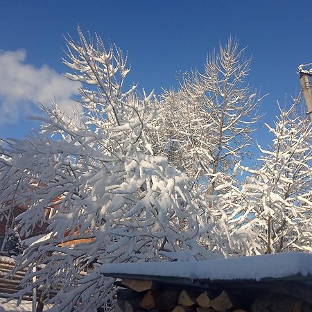 У Олега Hotell Verkhne-Studenyy Exteriör bild